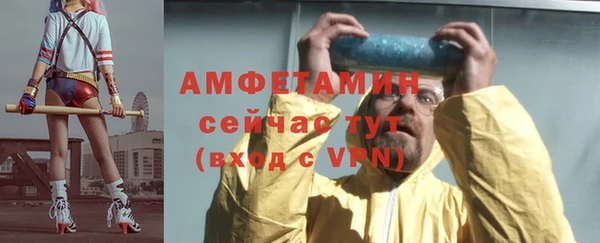 молекула духа Каменка