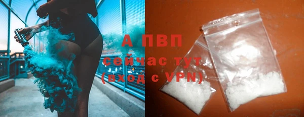 молекула духа Каменка