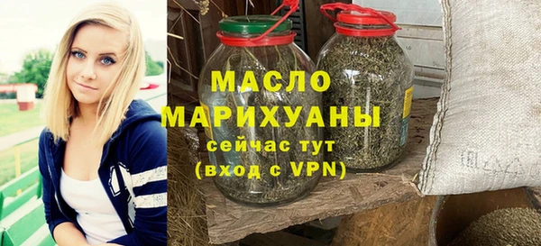 молекула духа Каменка
