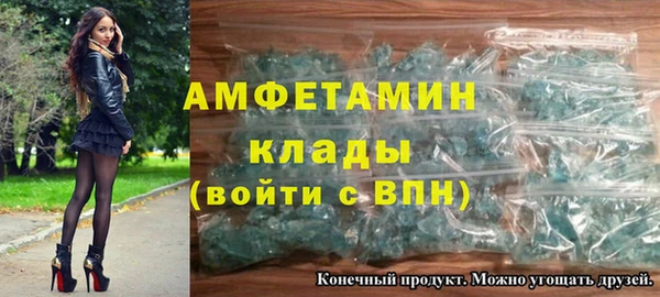молекула духа Каменка
