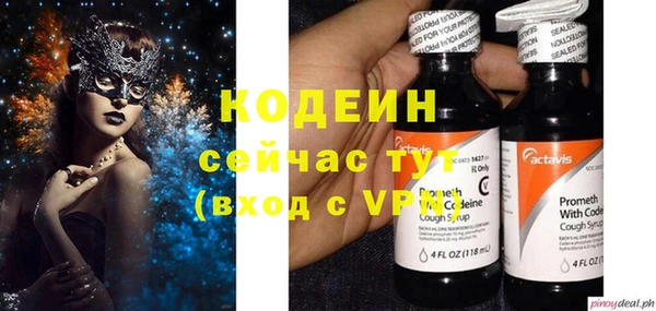 молекула духа Каменка