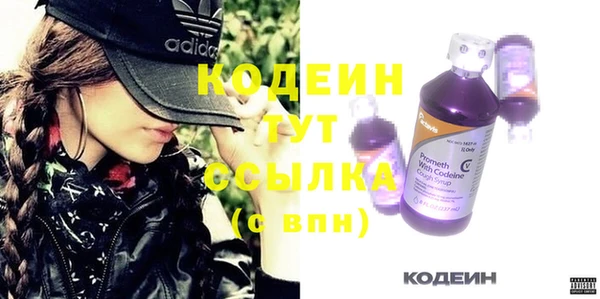 молекула духа Каменка